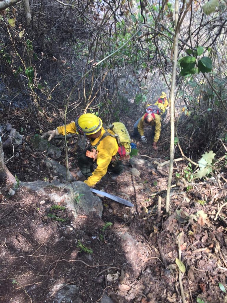 2 MIL 217 HECTÁREAS AFECTADAS POR INCENDIOS