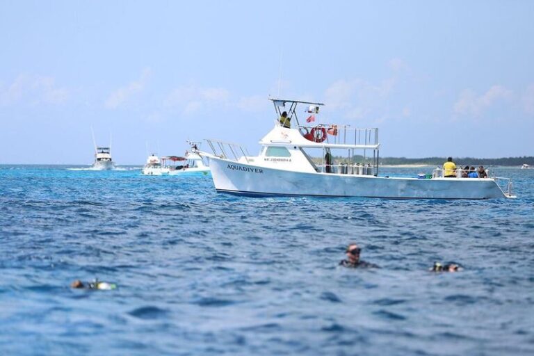 Detectan más de 300 embarcaciones irregulares en parque marino