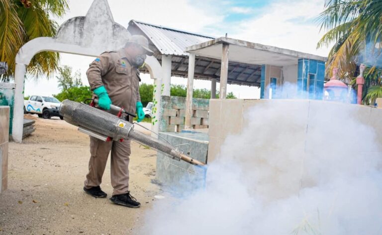 REALIZAN CAMPAÑAS DE NEBULIZACIÓN PARA EVITAR PROLIFERACIÓN DE MOSQUITOS