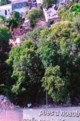 PRESENTAN LIBRO DE LA HISTORIA DE LA REGULARIZACIÓN DE LAS COLONIAS DE CANCÚN