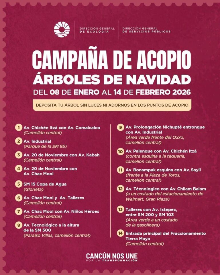 INICIA EL PROGRAMA DE ACOPIO DE ÁRBOLES DE NAVIDAD