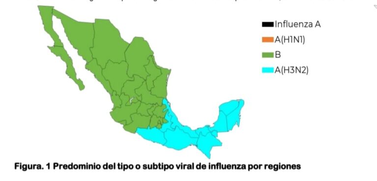 Es 10º Quintana Roo en casos de influenza; mantienen monitoreo