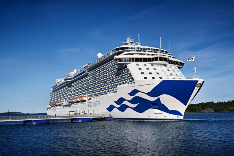 Cae tripulante de crucero Regal Princess frente a costa de Quintana Roo