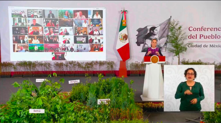 Reforestación nacional el domingo en Quintana Roo