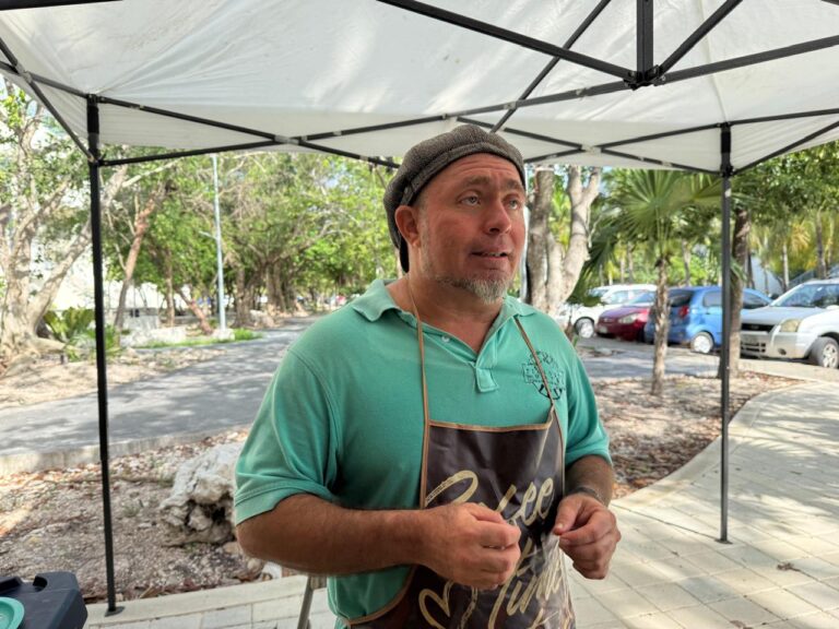 Pérdida de selva golpea la apicultura y reduce cosecha de miel en Cancún