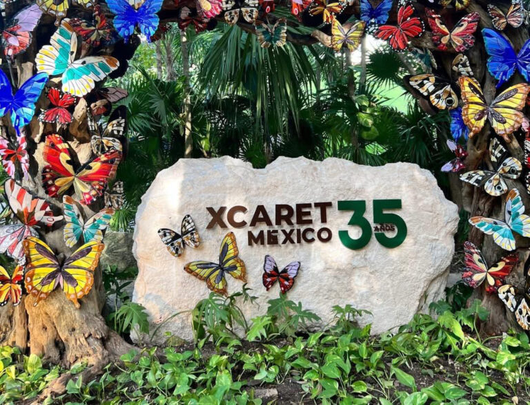Prevé cierre positivo de año Grupo Xcaret; sus hoteles con 80% de ocupación