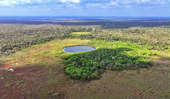 Integrarán a Calica al área natural protegida “Felipe Carrillo Puerto”