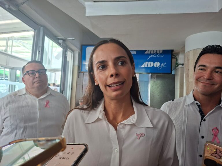 Preparan proyecto para convertir la calle Pino en zona peatonal